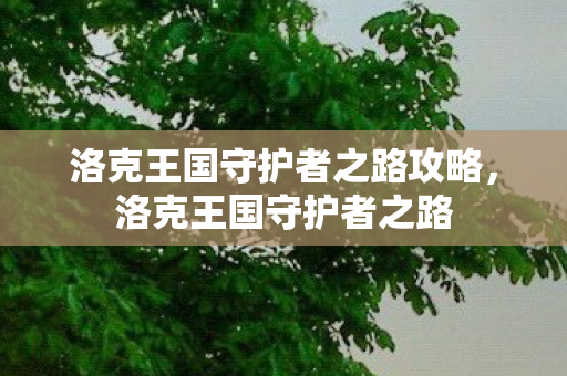 洛克王国守护者之路攻略，洛克王国守护者之路