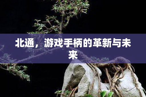 游戏手柄的革新与未来图片