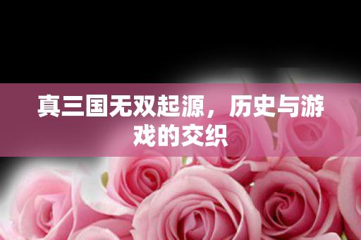 历史与游戏的交织图片