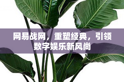 引领数字娱乐新风尚图片