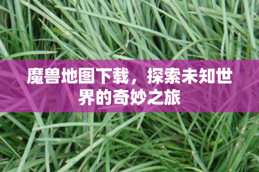 探索未知世界的奇妙之旅图片