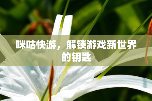 解锁游戏新世界的钥匙图片
