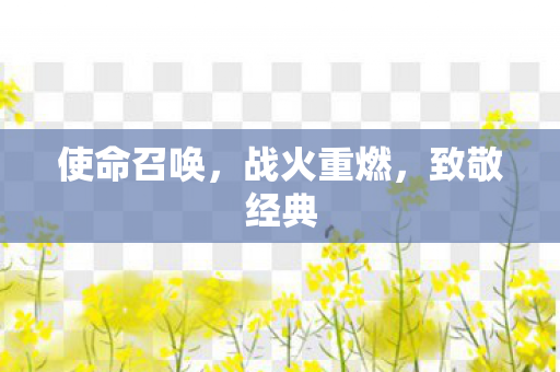 使命召唤图片