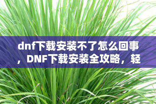 dnf下载安装不了怎么回事,DNF下载安装全攻略,轻松上手,畅游地下城世界 dnf下载安装不了怎么回事,DNF下载安装全攻略,轻松上手,畅游地下城世界