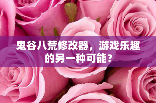 游戏乐趣的另一种可能图片