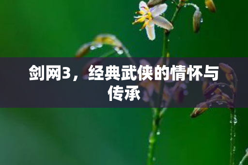 经典武侠的情怀与传承图片