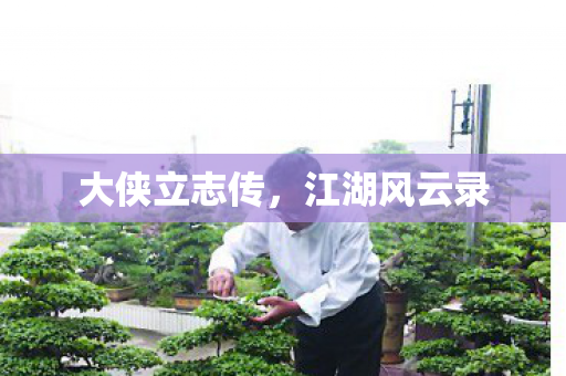 大侠立志传图片
