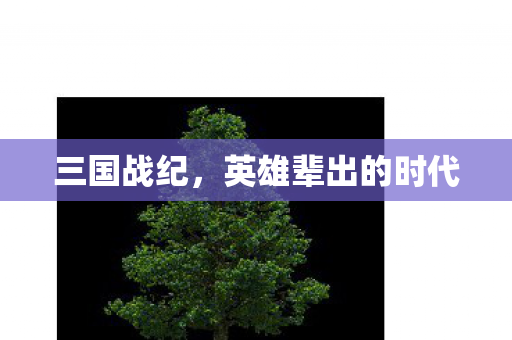 三国战纪，英雄辈出的时代