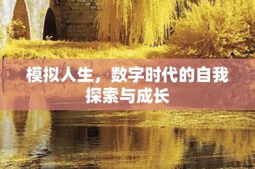 数字时代的自我探索与成长图片