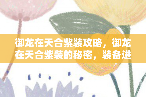 御龙在天合紫装攻略，御龙在天合紫装的秘密，装备进阶攻略