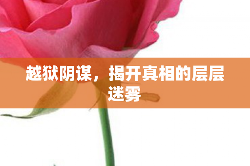 越狱阴谋，揭开真相的层层迷雾