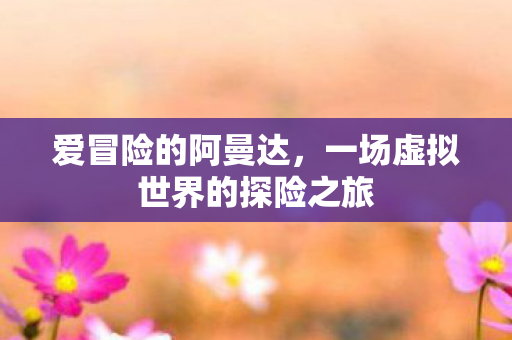 爱冒险的阿曼达，一场虚拟世界的探险之旅