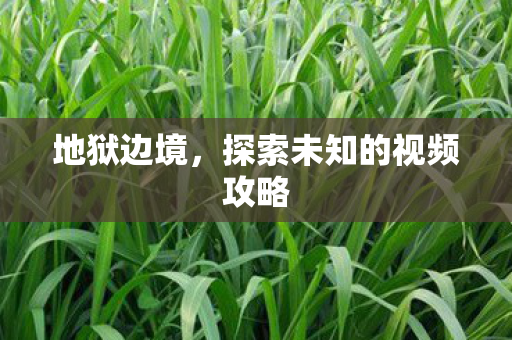 地狱边境，探索未知的视频攻略