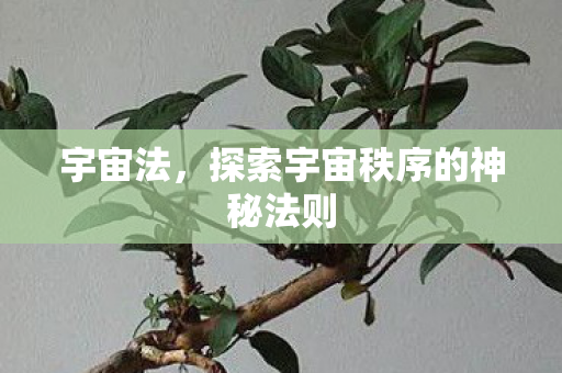 宇宙法，探索宇宙秩序的神秘法则