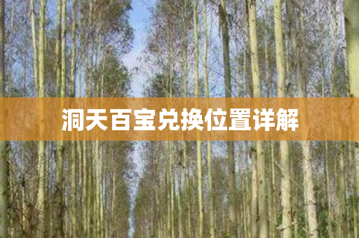 洞天百宝兑换位置详解