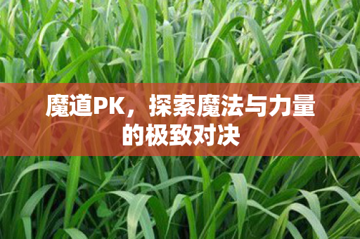 魔道PK，探索魔法与力量的极致对决
