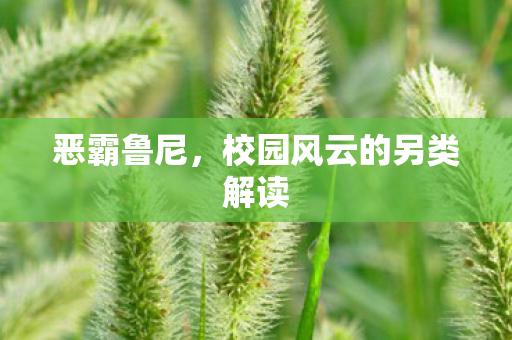 恶霸鲁尼，校园风云的另类解读