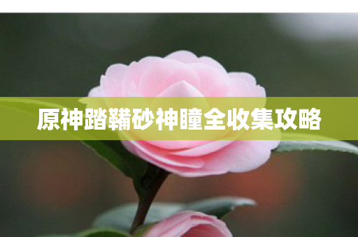 原神踏鞴砂神瞳全收集攻略