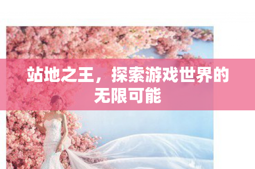 站地之王，探索游戏世界的无限可能