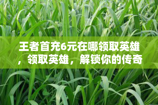王者首充6元在哪领取英雄，领取英雄，解锁你的传奇之旅
