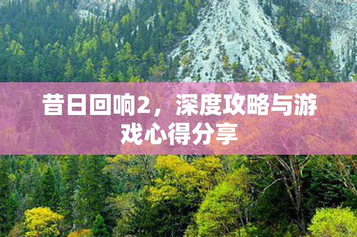 昔日回响2，深度攻略与游戏心得分享