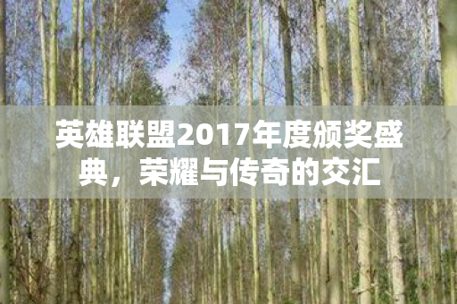 英雄联盟2017年度颁奖盛典,荣耀与传奇的交汇 英雄联盟2017年度颁奖盛典,荣耀与传奇的交汇