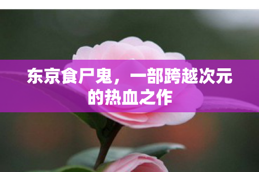 东京食尸鬼，一部跨越次元的热血之作