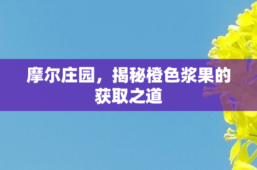 摩尔庄园，揭秘橙色浆果的获取之道