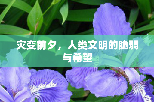 灾变前夕，人类文明的脆弱与希望