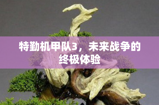 特勤机甲队3，未来战争的终极体验