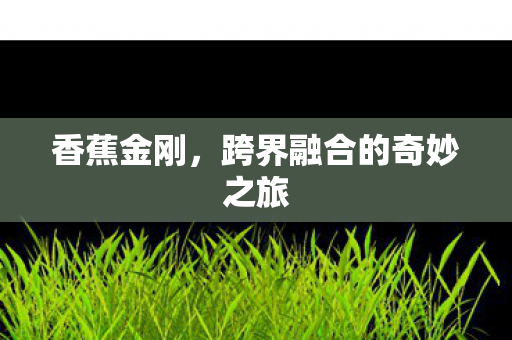 香蕉金刚，跨界融合的奇妙之旅