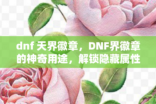 dnf 天界徽章,DNF界徽章的神奇用途,解锁隐藏属性,提升角色实力! dnf 天界徽章,DNF界徽章的神奇用途,解锁隐藏属性,提升角色实力!