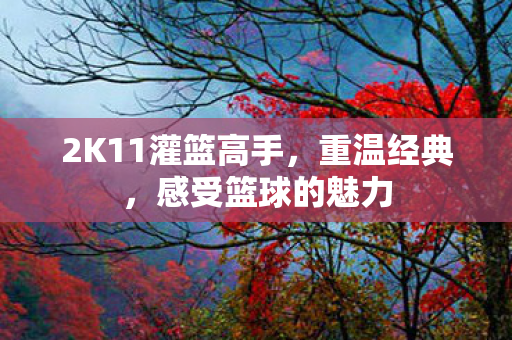 2K11灌篮高手，重温经典，感受篮球的魅力