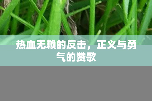 热血无赖的反击，正义与勇气的赞歌