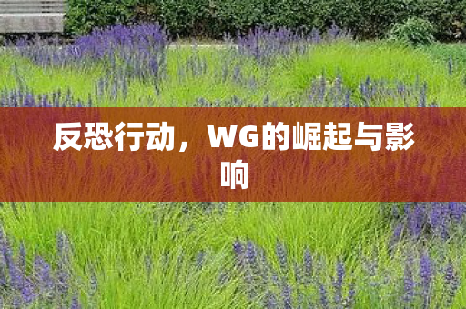 反恐行动,WG的崛起与影响 反恐行动,WG的崛起与影响