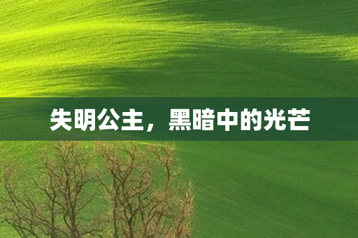 失明公主，黑暗中的光芒