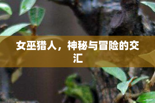 女巫猎人，神秘与冒险的交汇