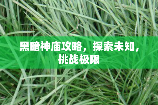 黑暗神庙攻略，探索未知，挑战极限