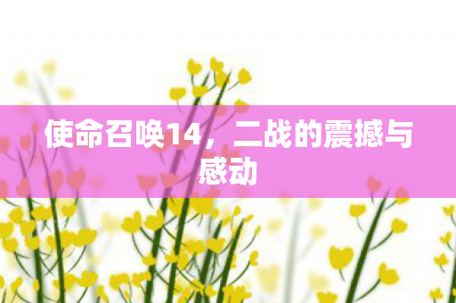 使命召唤14，二战的震撼与感动
