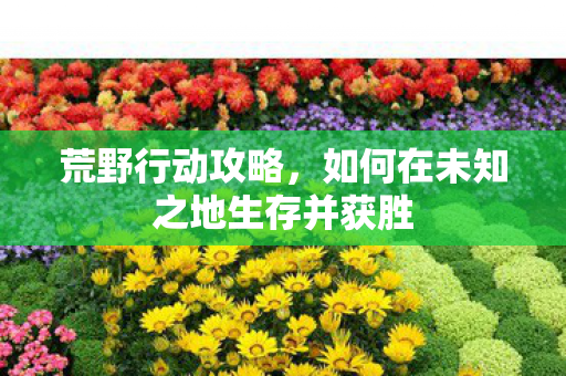 荒野行动攻略，如何在未知之地生存并获胜