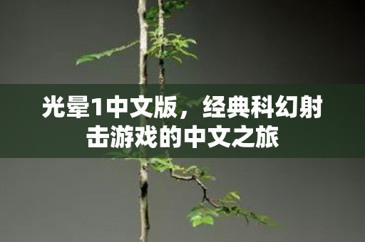光晕1中文版，经典科幻射击游戏的中文之旅