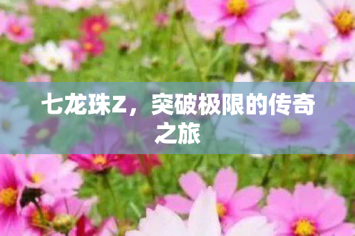 七龙珠Z，突破极限的传奇之旅