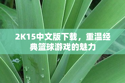 重温经典篮球游戏的魅力图片