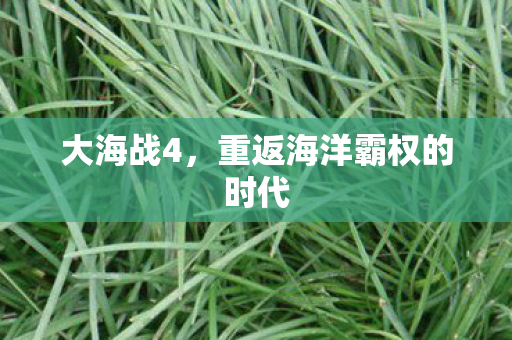 大海战4，重返海洋霸权的时代