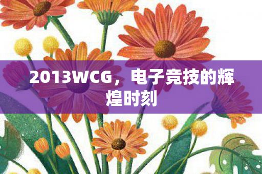 2013WCG，电子竞技的辉煌时刻