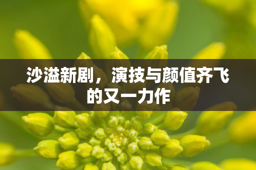 沙溢新剧，演技与颜值齐飞的又一力作