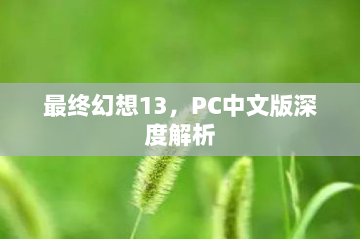 最终幻想13，PC中文版深度解析