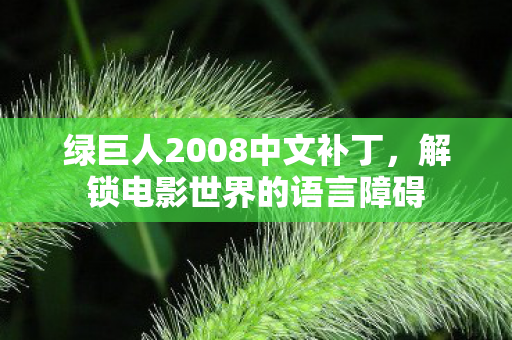 绿巨人2008中文补丁，解锁电影世界的语言障碍