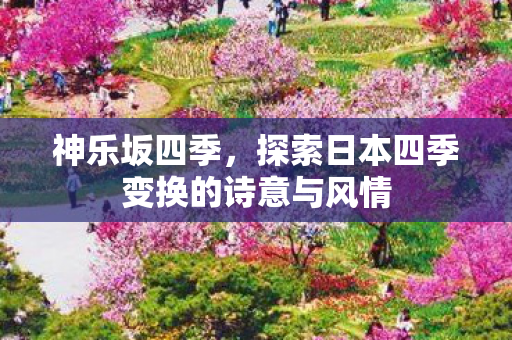 神乐坂四季，探索日本四季变换的诗意与风情