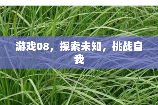 游戏08，探索未知，挑战自我